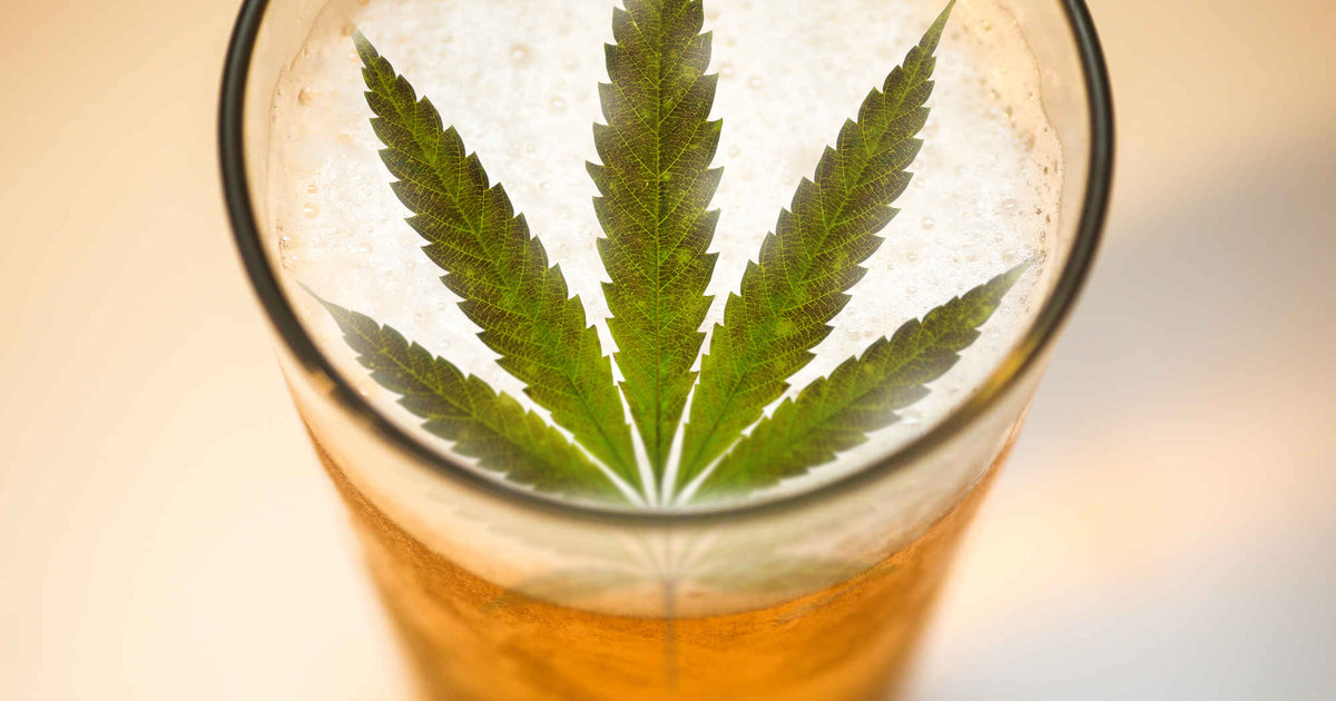marijuana-infused beer